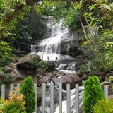 Areekal Waterfall Ernakulam 